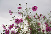 20081008_4.jpg