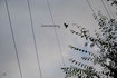 20081008_5.jpg