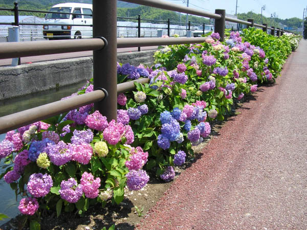 image0002