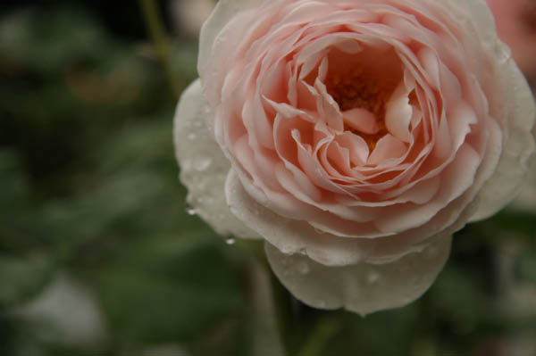 image0008