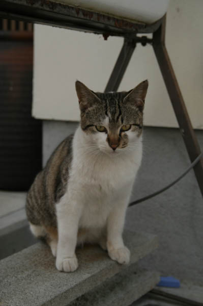 image0021