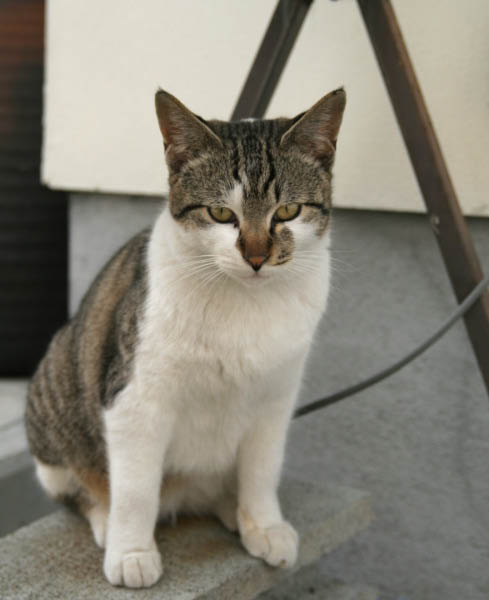 image0022