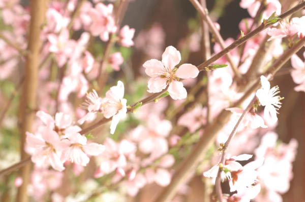 image0034