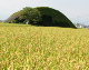 image0001
