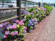 image0002