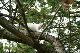 image0020