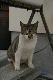 image0021