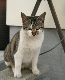 image0022