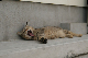 image0023