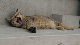 image0024