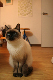 image0025