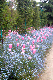 image0033