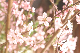 image0034