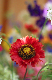 image0036